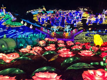 伊豆ぐらんぱる公園に投稿された画像（2023/8/20）