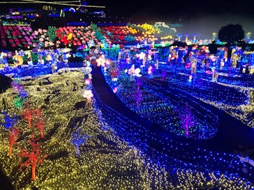 伊豆ぐらんぱる公園に投稿された画像（2023/8/20）