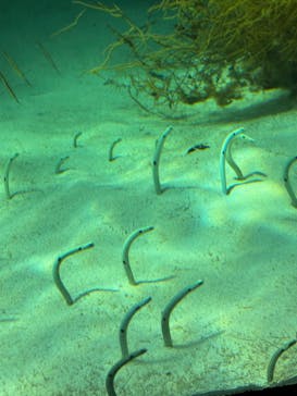 環境水族館アクアマリンふくしまに投稿された画像（2023/8/20）