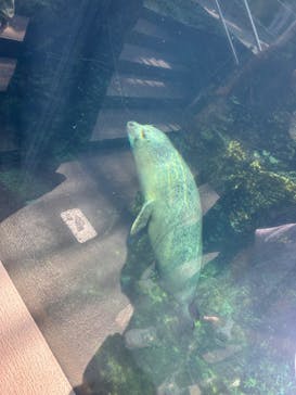 環境水族館アクアマリンふくしまに投稿された画像（2023/8/20）