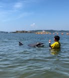 日間賀島ドルフィンビーチに投稿された画像（2023/8/20）