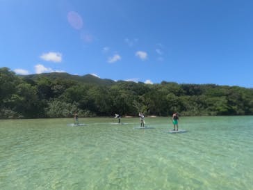 石垣島 ADVENTURE PiPi（イシガキジマアドベンチャーピピ）に投稿された画像（2023/8/20）