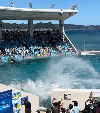 鴨川シーワールドに投稿された画像（2023/8/20）
