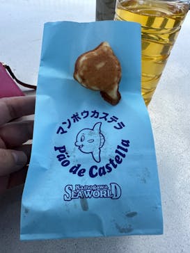 鴨川シーワールドに投稿された画像（2023/8/20）