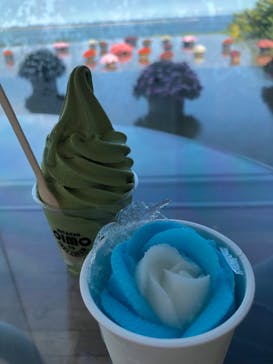 国営ひたち海浜公園プレジャーガーデンに投稿された画像（2023/8/20）