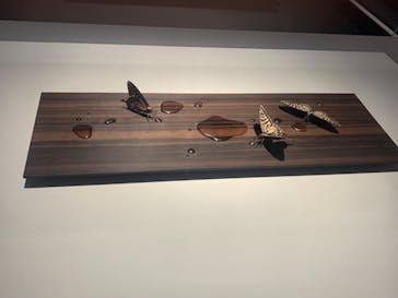 あべのハルカス美術館に投稿された画像（2023/8/20）