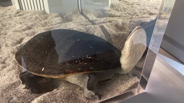 AOAO SAPPOROに投稿された画像（2023/8/20）