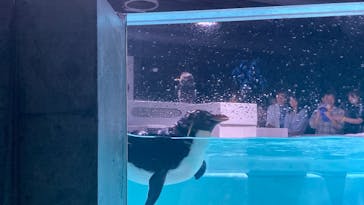 AOAO SAPPOROに投稿された画像（2023/8/20）