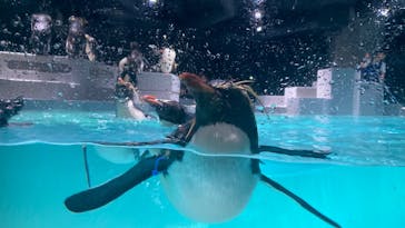 AOAO SAPPOROに投稿された画像（2023/8/20）