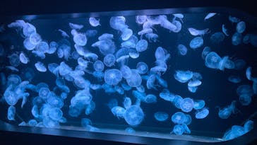 AOAO SAPPOROに投稿された画像（2023/8/20）