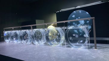 AOAO SAPPOROに投稿された画像（2023/8/20）