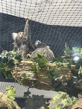 カワスイ 川崎⽔族館に投稿された画像（2023/8/20）