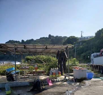 根府川ダイビングサービスに投稿された画像（2023/8/20）