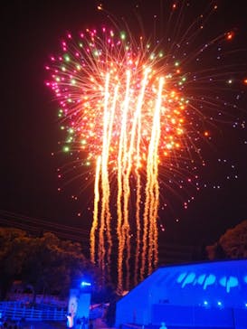 NESTA RESORT KOBE（ネスタリゾート神戸）に投稿された画像（2023/8/20）