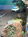 サンシャイン水族館に投稿された画像（2023/8/20）