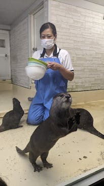 越前松島水族館に投稿された画像（2023/8/20）
