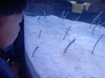 マリンワールド海の中道に投稿された画像（2023/8/20）