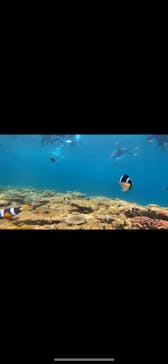 DIVING-SHOP SUNSに投稿された画像（2023/8/20）