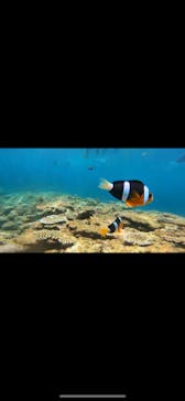 DIVING-SHOP SUNSに投稿された画像（2023/8/20）