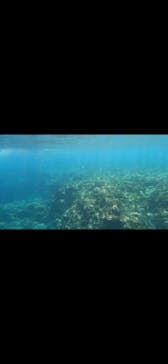 DIVING-SHOP SUNSに投稿された画像（2023/8/20）