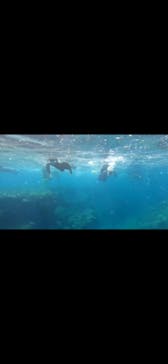 DIVING-SHOP SUNSに投稿された画像（2023/8/20）