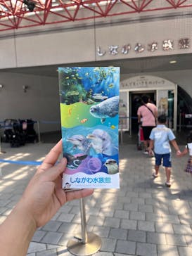 しながわ水族館に投稿された画像（2023/8/20）