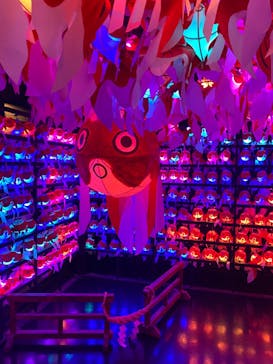 NARA KINGYO MUSEUMに投稿された画像（2023/8/20）