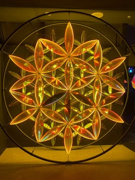 NARA KINGYO MUSEUMに投稿された画像（2023/8/20）