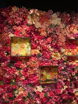 NARA KINGYO MUSEUMに投稿された画像（2023/8/20）