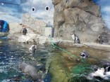 新江ノ島水族館に投稿された画像（2023/8/21）