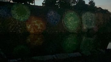 NAKED meets 二条城 2025 観月に投稿された画像（2023/8/20）