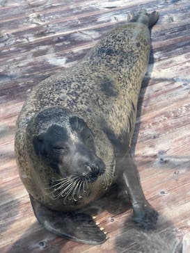 マリンワールド海の中道に投稿された画像（2023/8/20）