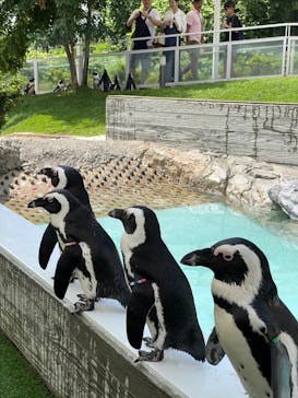 マリンワールド海の中道に投稿された画像（2023/8/20）