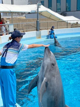 マリンワールド海の中道に投稿された画像（2023/8/20）