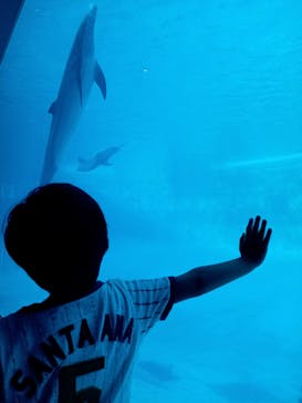 名古屋港水族館に投稿された画像（2023/8/20）