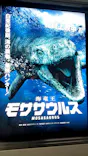 名古屋港水族館に投稿された画像（2023/8/21）