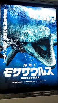 名古屋港水族館に投稿された画像（2023/8/21）