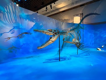 DinoScience 恐竜科学博 2023@TOKYO MIDTOWNに投稿された画像（2023/8/21）