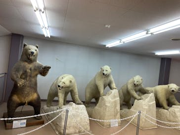 奥飛騨クマ牧場に投稿された画像（2023/8/21）