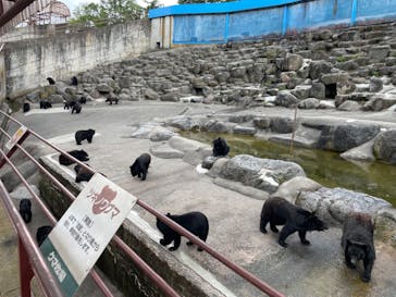 奥飛騨クマ牧場に投稿された画像（2023/8/21）