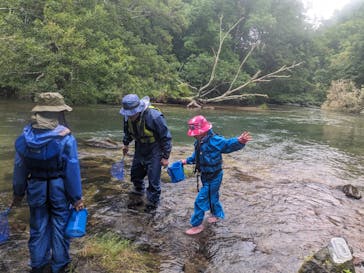 Matatabi（マタタビ）に投稿された画像（2023/8/20）