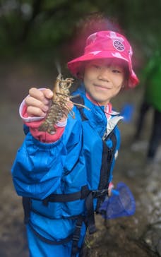 Matatabi（マタタビ）に投稿された画像（2023/8/20）