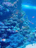 サンシャイン水族館に投稿された画像（2023/8/21）