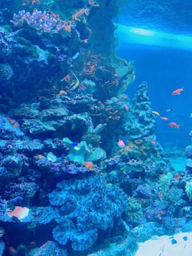 サンシャイン水族館に投稿された画像（2023/8/21）