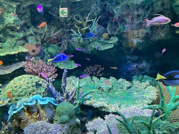 サンシャイン水族館に投稿された画像（2023/8/21）