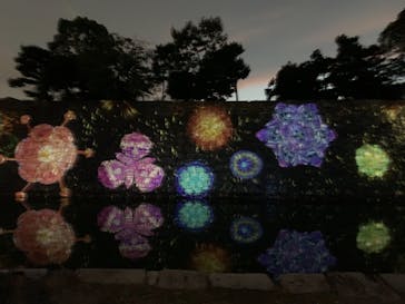 NAKED meets 二条城 2025 観月に投稿された画像（2023/8/21）