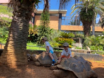 体感型動物園iZooに投稿された画像（2023/8/21）
