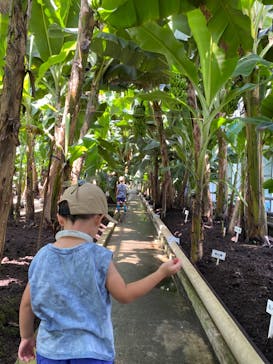 熱川バナナワニ園に投稿された画像（2023/8/21）