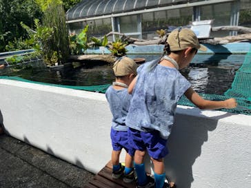 熱川バナナワニ園に投稿された画像（2023/8/21）