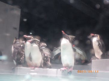 AOAO SAPPOROに投稿された画像（2023/8/21）